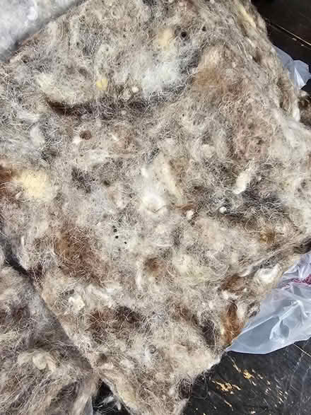 Photo of free Wool insulation (SW8) #2