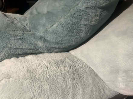 Photo of free Reading/ leaning pillows (Columbia Heights) #3