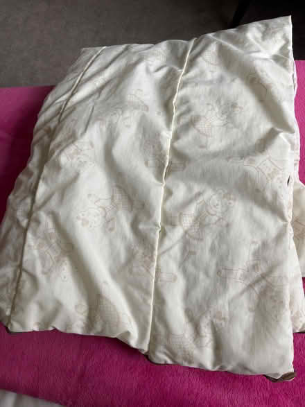 Photo of free Cot duvet (AB32) #1