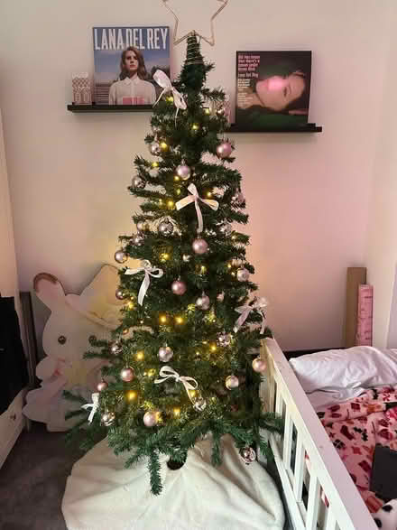 Photo of free christmas tree (Priors Park GL20) #1