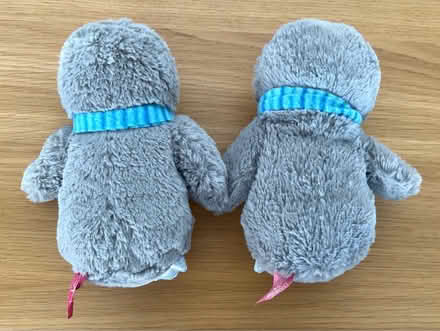 Photo of free X2 Penguin Soft Toys (North Shields Fish Quay NE29) #2