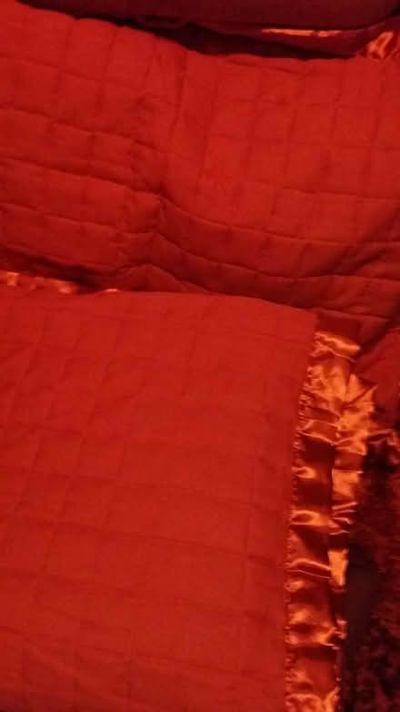Photo of free Quilt and pillow (Chineham RG24) #1
