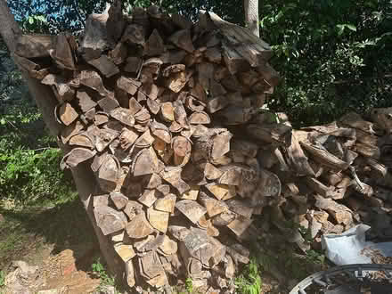 Photo of free Chopped wood (Austell) #1