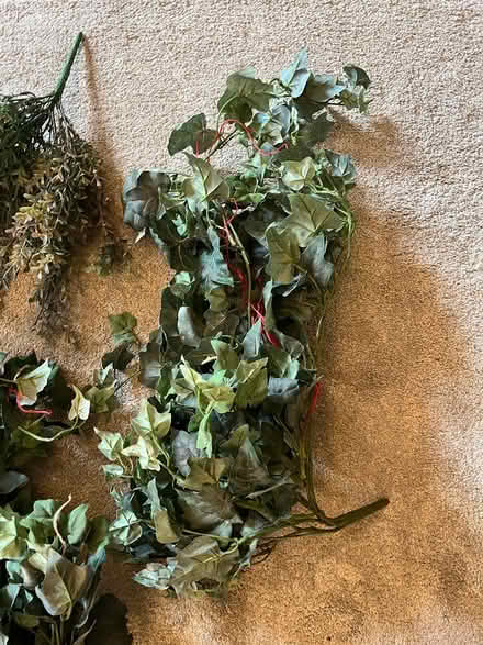 Photo of free Fall color fake flowers & ivy (east Carpentersville) #4