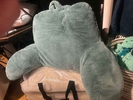 Photo of free Reading/ leaning pillows (Columbia Heights) #2