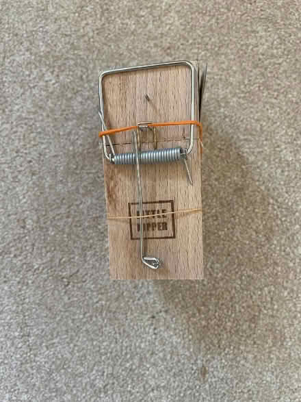 Photo of free 4 x wooden mousetraps (Charlton SE18) #1