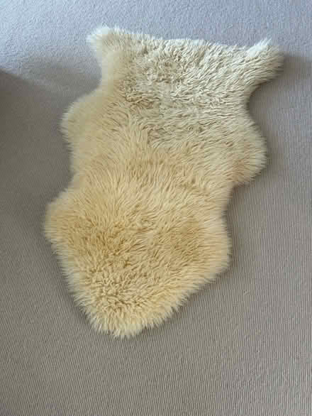 Photo of free Cream sheepskin rug (Wimbledon Village SW19) #2