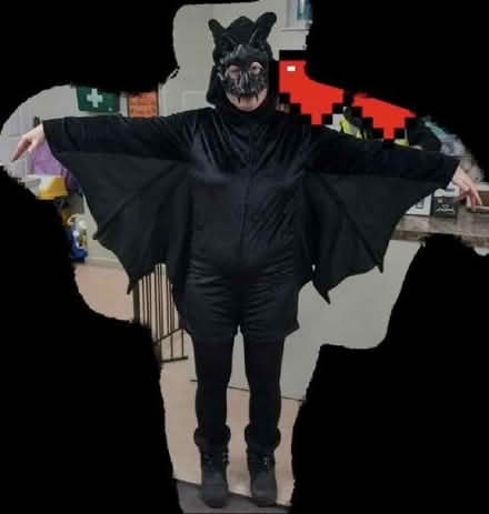 Photo of free Bat costume (Hollinswood TF3) #1