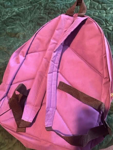 Photo of free 2 rucksacks (Northampton bellinge) #4