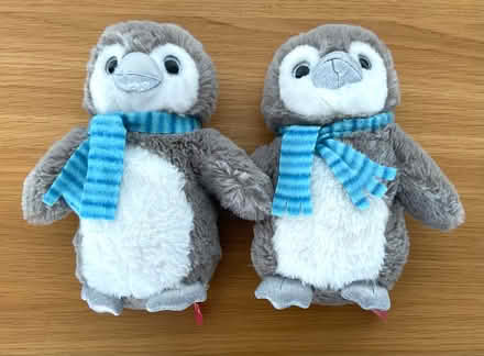 Photo of free X2 Penguin Soft Toys (North Shields Fish Quay NE29) #1