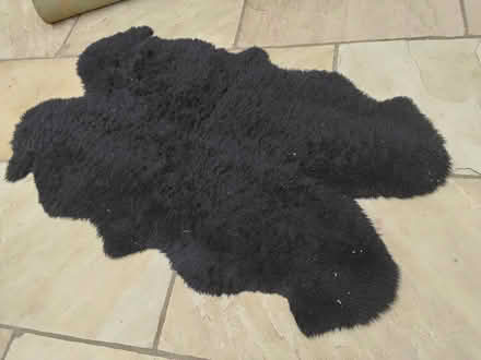 Photo of free Black, Sheepskin rug (Welwyn AL6) #1