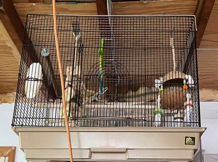 Photo of free Bird cage, bird carrier (Ithaca - West Side) #1