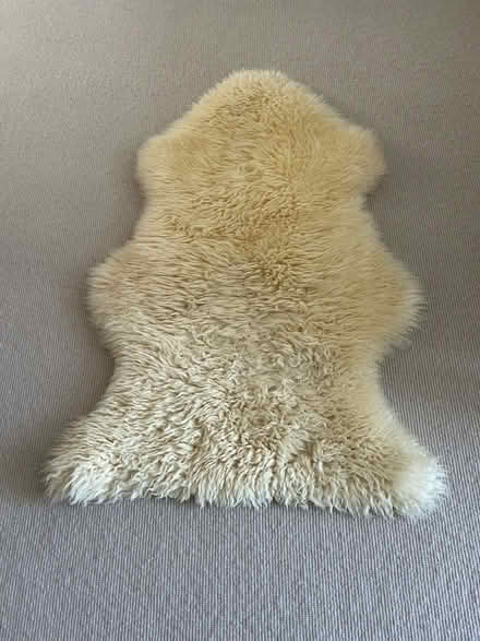 Photo of free Cream sheepskin rug (Wimbledon Village SW19) #1
