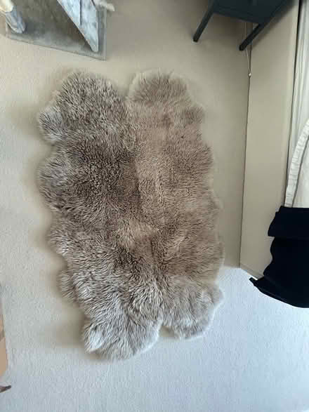 Photo of free Grey Bowron sheepskin rug (Wimbledon Village SW19) #3