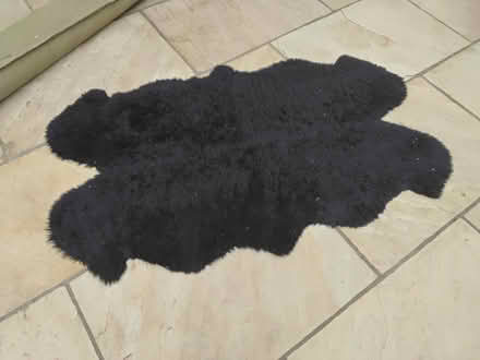 Photo of free Black, Sheepskin rug (Welwyn AL6) #2