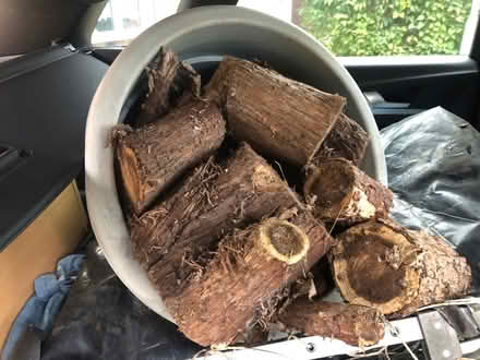 Photo of free Firewood - lots of it (Whitehill SG4) #1