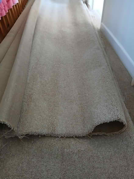 Photo of free Beige Carpet (S17 (Dore)) #2