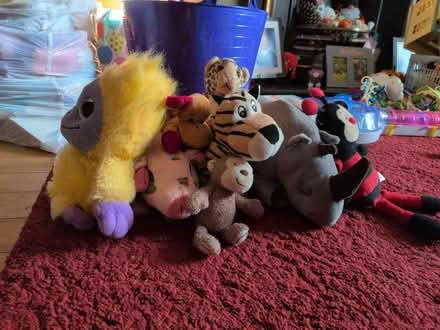 Photo of free Animal teddies (Bracknell Forest RG12) #2