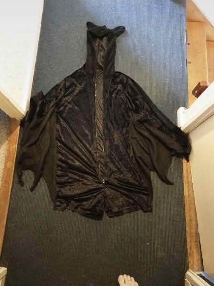 Photo of free Bat costume (Hollinswood TF3) #2