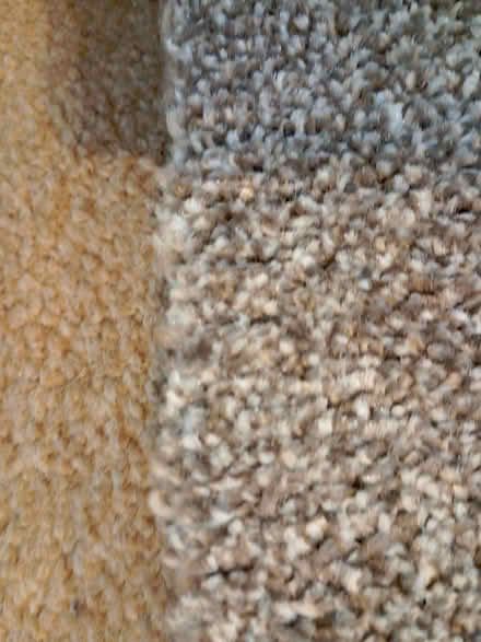 Photo of free Length of grey carpet (Parkstone BH14) #2