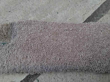 Photo of free OLD Carpet - 5m X 2.5/3.3m (Welwyn AL6) #1