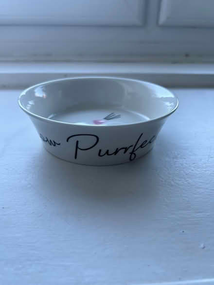 Photo of free Two Cat Bowls (Colinton Mains EH13) #2
