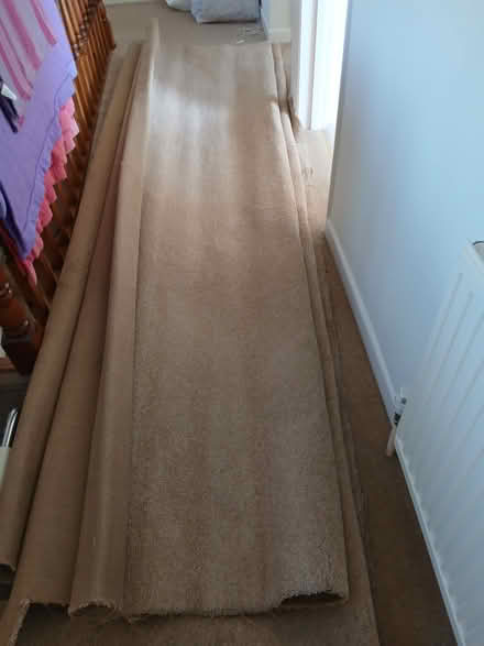 Photo of free Beige Carpet (S17 (Dore)) #1