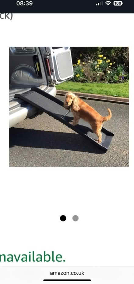 Photo of free Dog Car Ramp (Dowanhill G12) #1