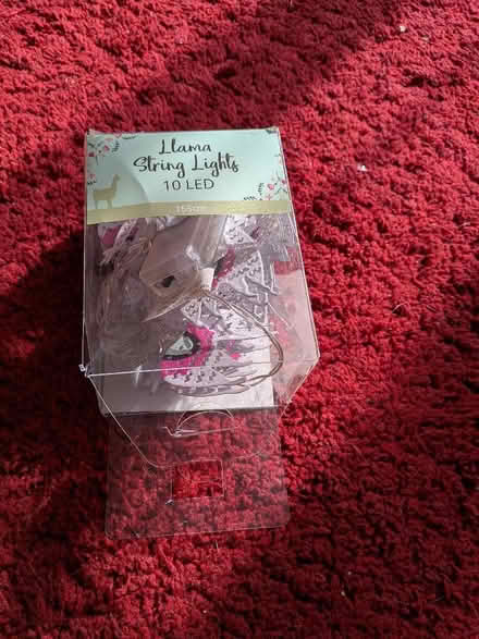 Photo of free String lights (Bracknell Forest RG12) #2