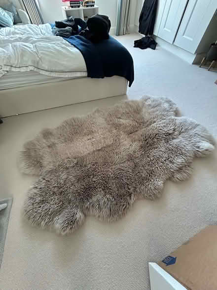 Photo of free Grey Bowron sheepskin rug (Wimbledon Village SW19) #1