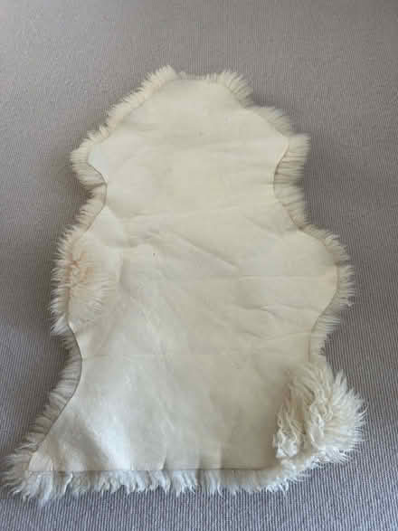 Photo of free Cream sheepskin rug (Wimbledon Village SW19) #4