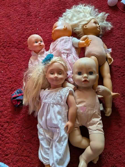 Photo of free Dolls selection (Bracknell Forest RG12) #1