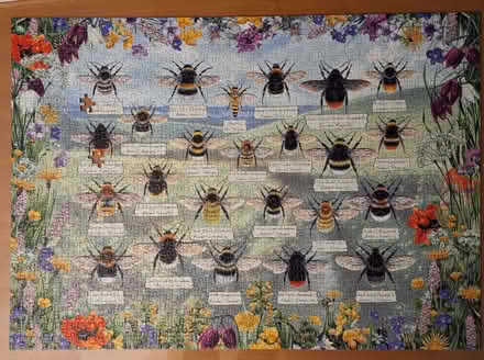 Photo of free Brilliant Bees jigsaw puzzle. (Stotfold SG5) #1