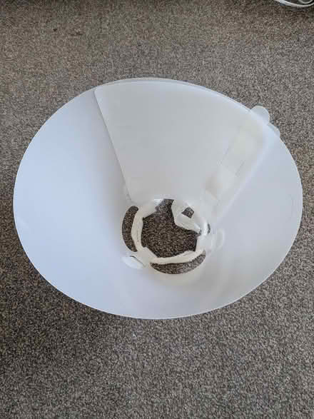 Photo of free Clinical collar/cone (Gosport PO12) #2