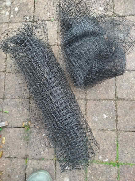 Photo of free netting (Barnard's Green WR14) #1