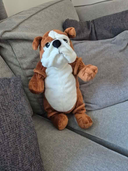 Photo of free Ikea Bulldog soft toy (Bengeo SG14) #1