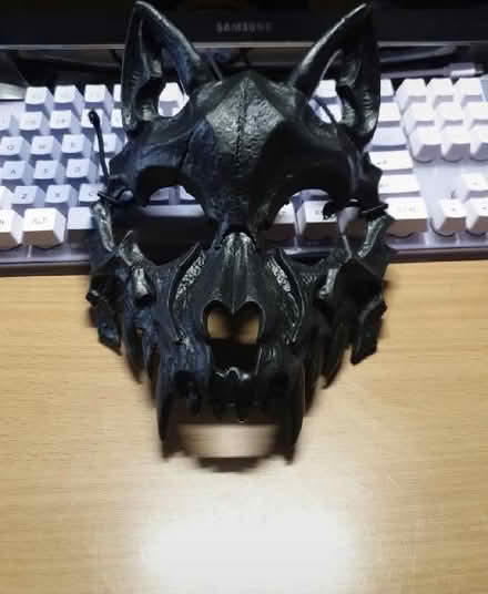 Photo of free Bat costume (Hollinswood TF3) #3