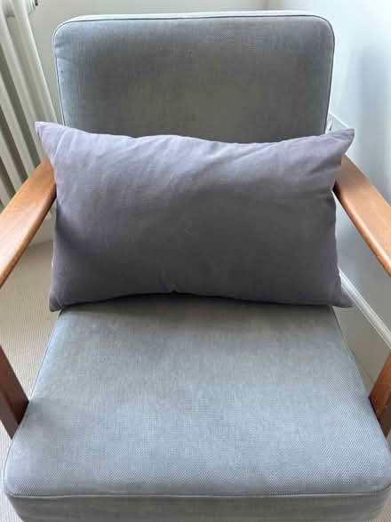 Photo of free Scion living Mr Fox grey cushion (Wimbledon Village SW19) #2