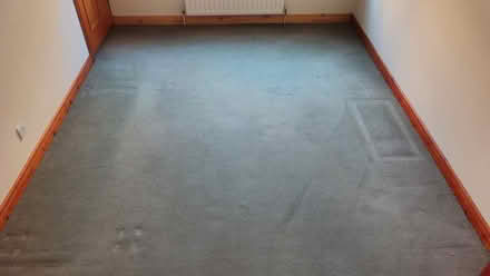 Photo of free Green carpet (Horsforth LS18) #3