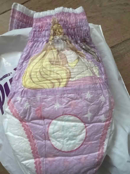 Photo of free 6 girls pull-up trainer nappies s 15-23kg (Denham UB9) #2