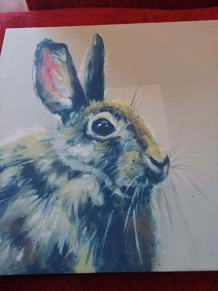 Photo of free Lovely Hare/rabbit print on Canvas (Little Heath RG31) #1