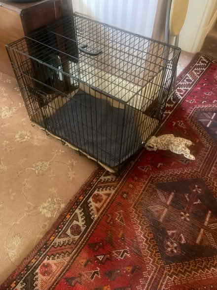 Photo of free Dog crate (Seaford BN25) #1