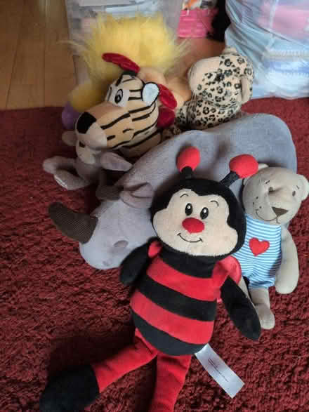 Photo of free Animal teddies (Bracknell Forest RG12) #3