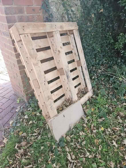 Photo of free Wooden pallet (Rottingdean BN2) #1