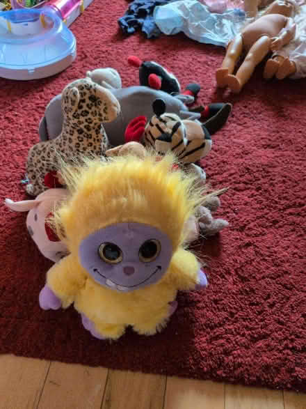 Photo of free Animal teddies (Bracknell Forest RG12) #4