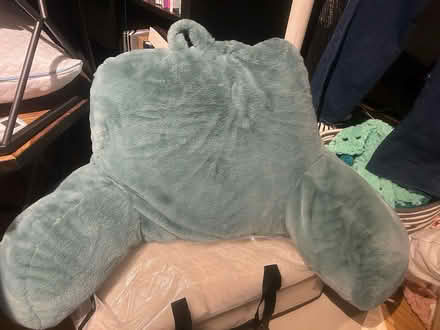 Photo of free Reading/ leaning pillows (Columbia Heights) #1