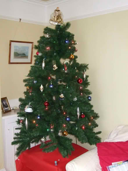Photo of free 6' Christmas Tree and set of lights (Warden Hill GL51) #1
