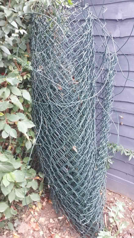 Photo of free Green Plastic Coated Fencing (Cressex HP12) #1