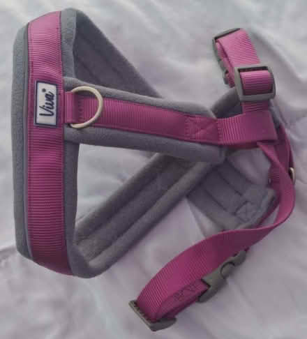 Photo of free Pink Large Dog Harness (Cleveleys FY5) #1