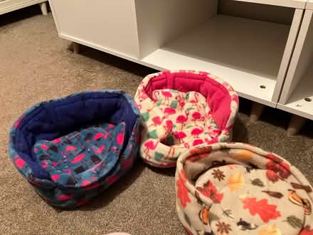Photo of free Selection of small animal pet beds (Chessington KT19) #1